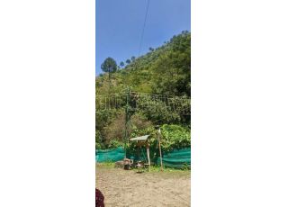 TRIP TO SHIMLA