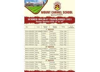 Virtual Summer Camp 2021